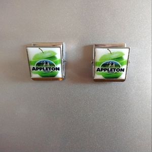 3/$10 🌟 Lot of 2 Appleton, WI Wisconsin, USA 🇺🇲 Refrigerator/ Office Magnet
